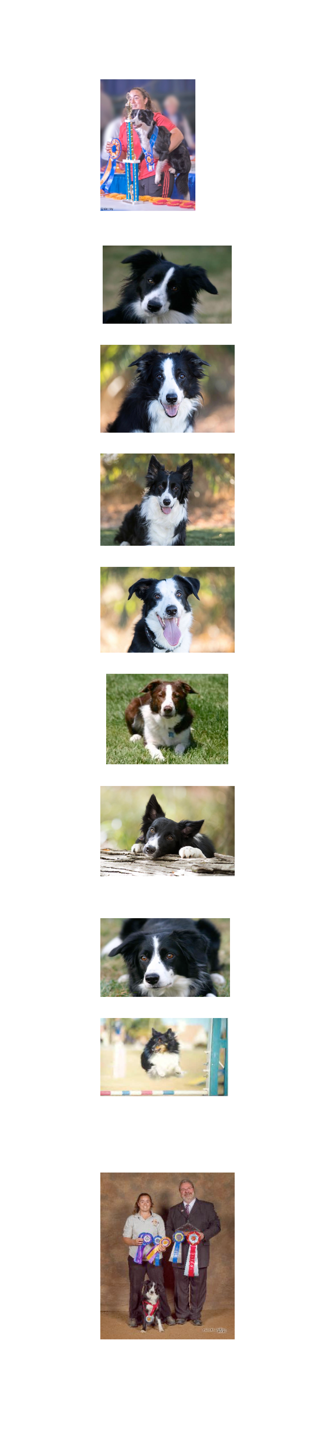 
Kate’s Dogs:

Contact Point’s Driven To Win

Contact Point’s Power Play

Excel Smart Move

Excel The Great One

Contact Point’s Radio Flyer

Excel Eye On The Prize
Kate’s Dogs at Rainbow Bridge:

Contact Point Thinks Quick

Joy’s Heisey Diamond
DrivenDogs on Youtube:
www.youtube.com/drivendogs
